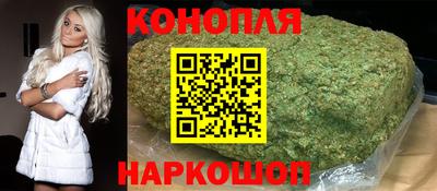 прущие крисы Будённовск