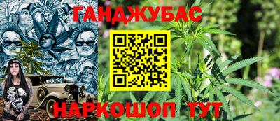 прущие крисы Будённовск