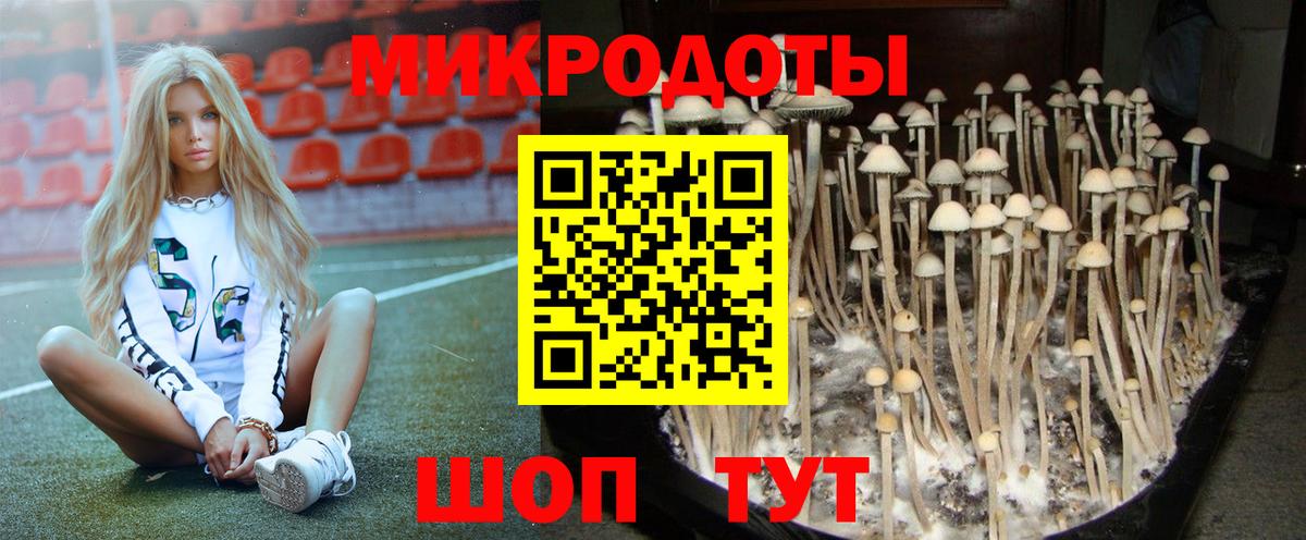 Псилоцибиновые грибы мухоморы  Вход с VPN  Новотроицк 